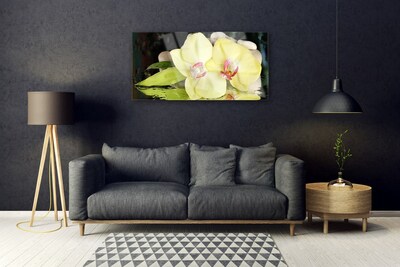 Plexiglas® Wall Art Petal floral green