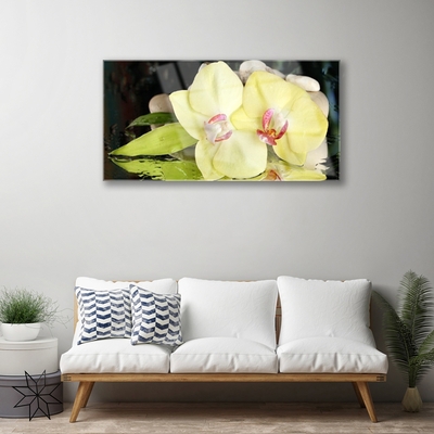 Plexiglas® Wall Art Petal floral green