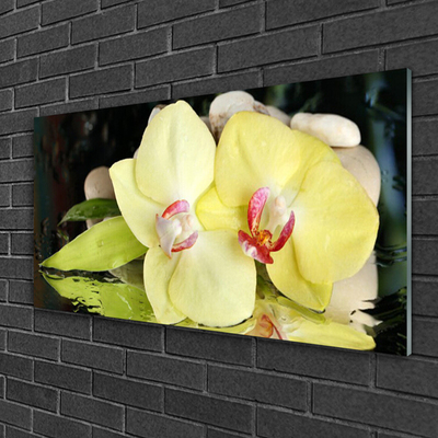 Plexiglas® Wall Art Petal floral green