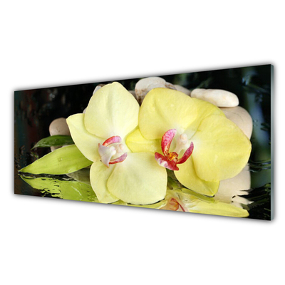 Plexiglas® Wall Art Petal floral green