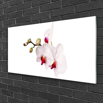 Plexiglas® Wall Art Flowers floral pink white