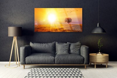 Plexiglas® Wall Art Sun meadow landscape yellow brown