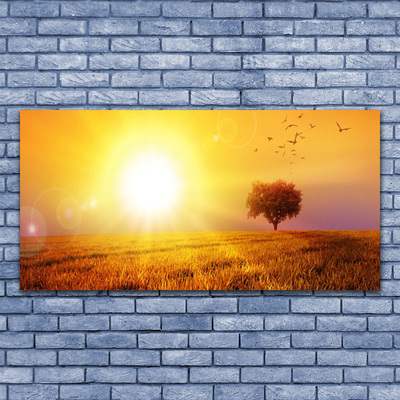 Plexiglas® Wall Art Sun meadow landscape yellow brown