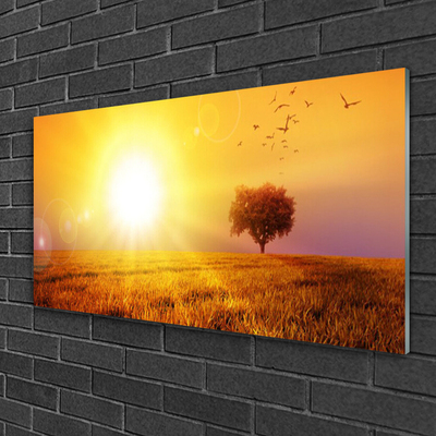 Plexiglas® Wall Art Sun meadow landscape yellow brown