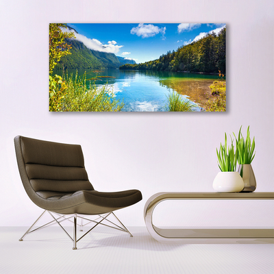 Plexiglas® Wall Art Mountain forest lake nature green blue