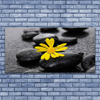 Plexiglas® Wall Art Flower stones art yellow black