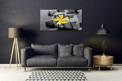 Plexiglas® Wall Art Flower stones art yellow black