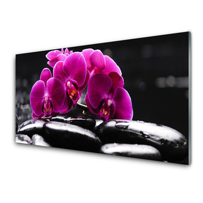 Plexiglas® Wall Art Flower stones floral red black