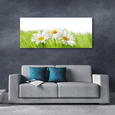 Plexiglas® Wall Art Grass daisies floral white green