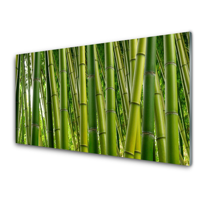 Plexiglas® Wall Art Bamboo stalks floral green