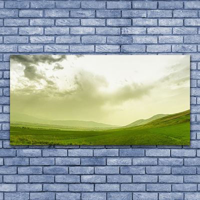 Plexiglas® Wall Art Meadow nature green