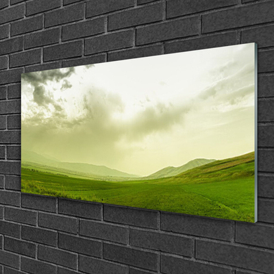 Plexiglas® Wall Art Meadow nature green