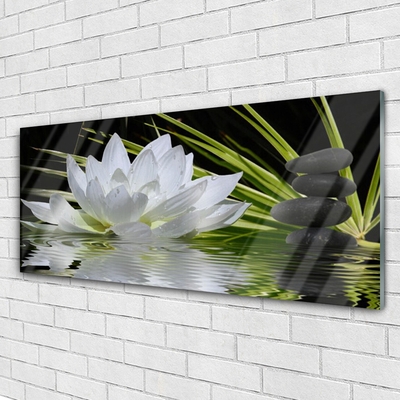 Plexiglas® Wall Art Flower stones water floral white black