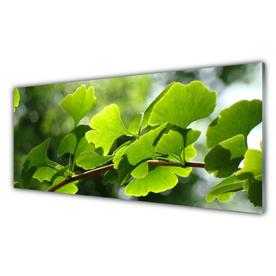 Plexiglas® Wall Art Branch leaves floral brown green