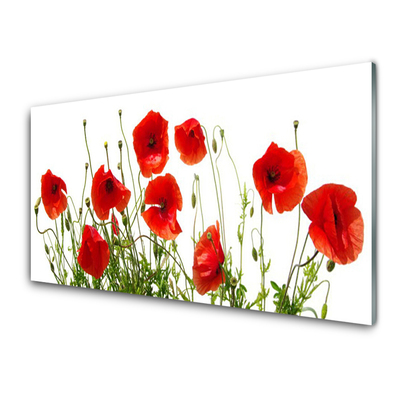 Plexiglas® Wall Art Poppies floral green red