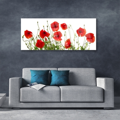 Plexiglas® Wall Art Poppies floral green red