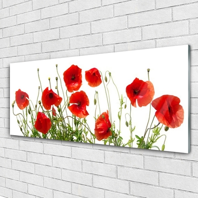 Plexiglas® Wall Art Poppies floral green red