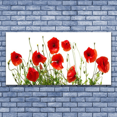 Plexiglas® Wall Art Poppies floral green red