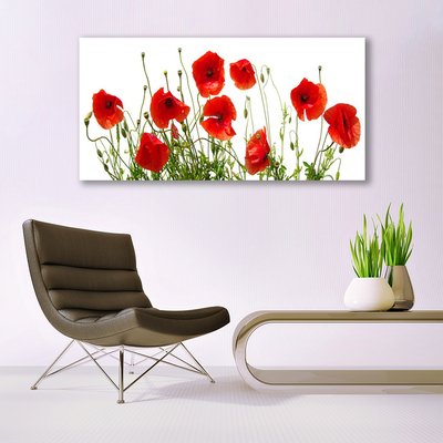 Plexiglas® Wall Art Poppies floral green red