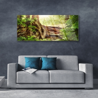 Plexiglas® Wall Art Tree trunk nature brown green