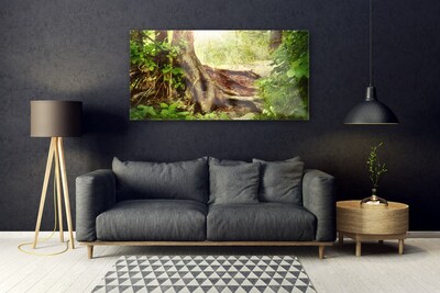 Plexiglas® Wall Art Tree trunk nature brown green