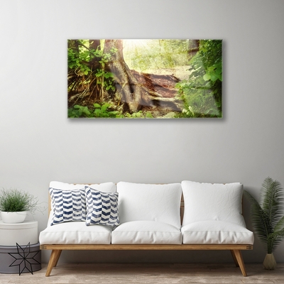 Plexiglas® Wall Art Tree trunk nature brown green