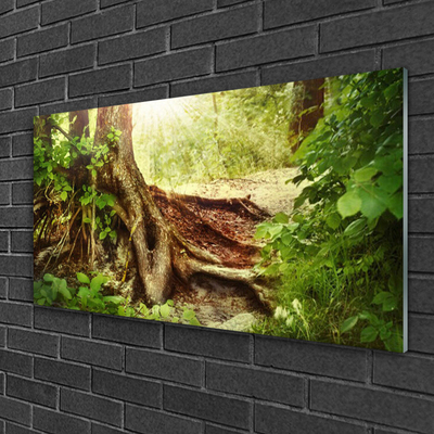 Plexiglas® Wall Art Tree trunk nature brown green