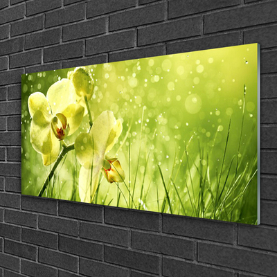 Plexiglas® Wall Art Grass flowers floral green