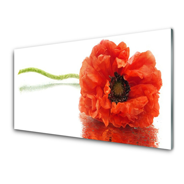 Plexiglas® Wall Art Flower floral red