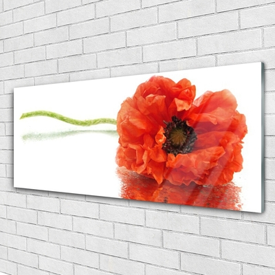 Plexiglas® Wall Art Flower floral red