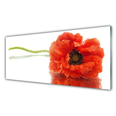 Plexiglas® Wall Art Flower floral red