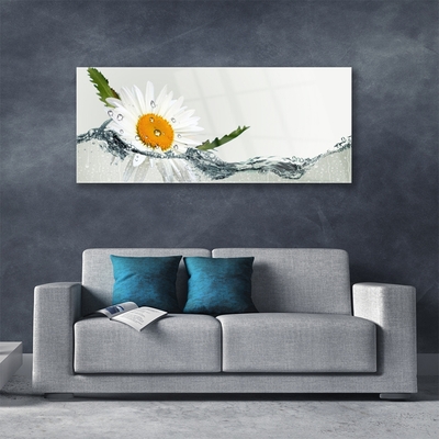 Plexiglas® Wall Art Daisy water art yellow white blue