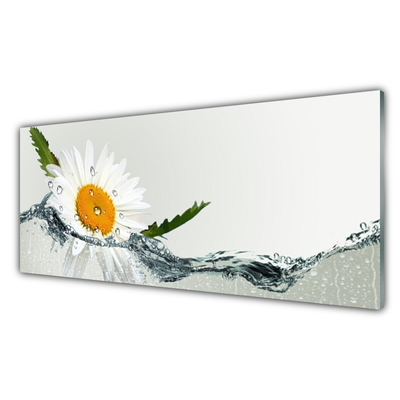 Plexiglas® Wall Art Daisy water art yellow white blue