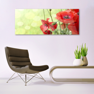 Plexiglas® Wall Art Poppies floral green red