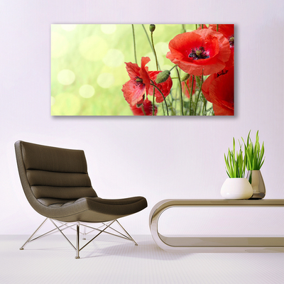 Plexiglas® Wall Art Poppies floral green red