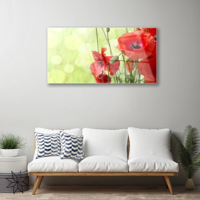 Plexiglas® Wall Art Poppies floral green red