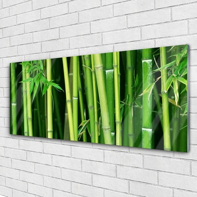 Plexiglas® Wall Art Bamboo stalks floral green