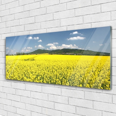 Plexiglas® Wall Art Meadow nature yellow