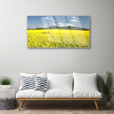 Plexiglas® Wall Art Meadow nature yellow