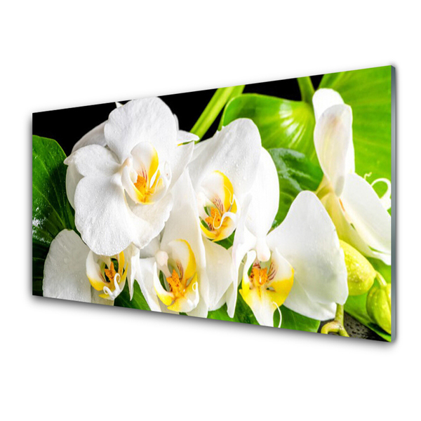 Plexiglas® Wall Art Petals floral white green