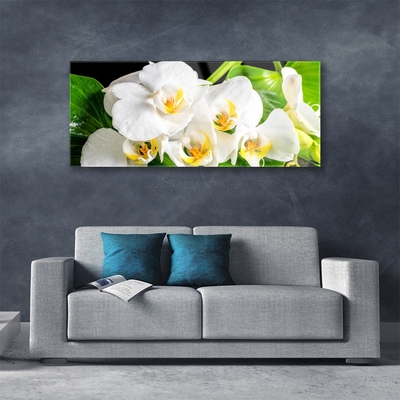 Plexiglas® Wall Art Petals floral white green