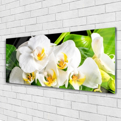 Plexiglas® Wall Art Petals floral white green