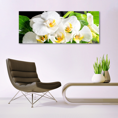 Plexiglas® Wall Art Petals floral white green