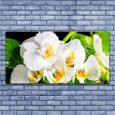 Plexiglas® Wall Art Petals floral white green