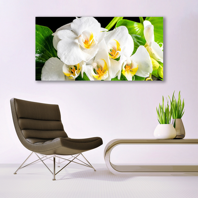 Plexiglas® Wall Art Petals floral white green