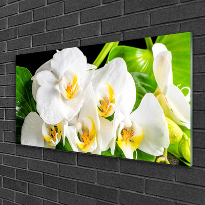 Plexiglas® Wall Art Petals floral white green