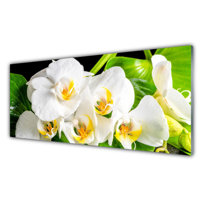 Plexiglas® Wall Art Petals floral white green