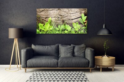 Plexiglas® Wall Art Grass leaves floral green