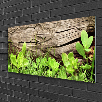 Plexiglas® Wall Art Grass leaves floral green