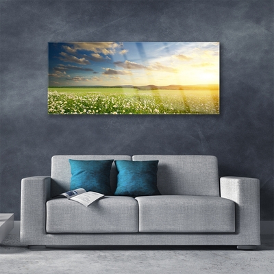 Plexiglas® Wall Art Meadow flowers landscape green white